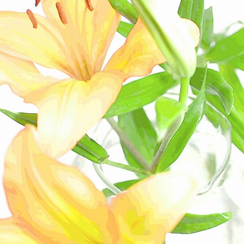 百合