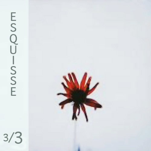 Esquisse 3/3
