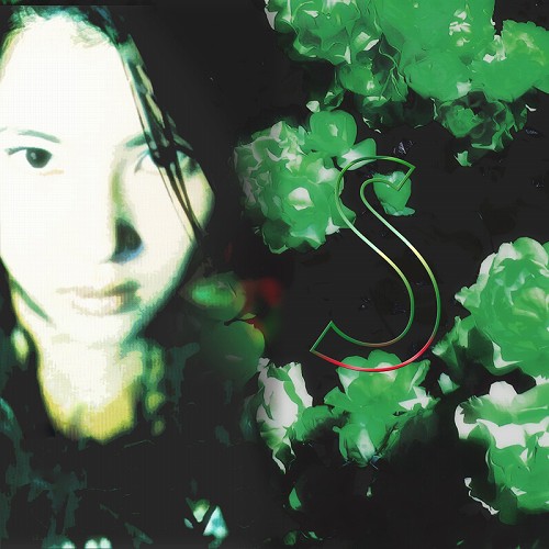Best Selection Album「S」