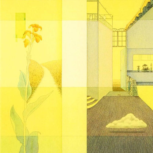 日向夏